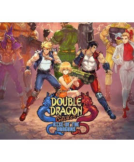 Double Dragon Gaiden: Rise Of The Dragons Steam Key EUROPE